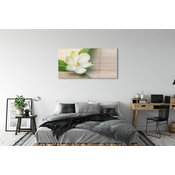 tulup.si Stenska plošča za kuhinjo Bele magnolije 140x70 cm