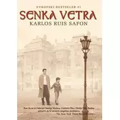 Senka vetra