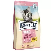 Happy Cat | Minkas Kitten