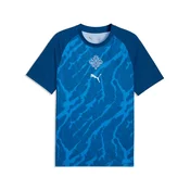 PUMA Iceland Warmup Jersey Men, Performance, Clyde Royal/Haute Tropic, M