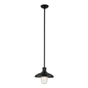 Elstead Lighting Elstead Kichler Allenbury Zunanja viseča stropna svetilka, teksturirana črna, IP44, (22097970)