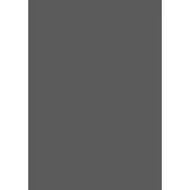 Performance Management for Agile Organizations