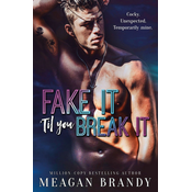 Fake It Til You Break It
