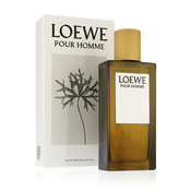 Loewe Pour Homme toaletní voda 100 ml Pro muže