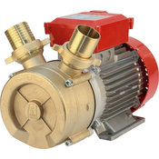 Rover BE-M 50 Bronza Elektricna pumpa