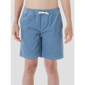 Rip Curl Surf Revival Volley Shorts dusty blue
