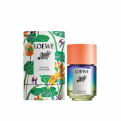 Unisex Perfume Loewe EDT 100 ml Paulas Ibiza Eclectic
