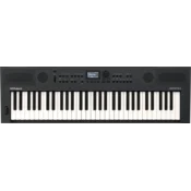 Roland GO:KEYS 5 Klavijatura s dinamikom Graphite (Kao novo)