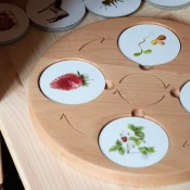 Its a moms world Drvena tabla i kartice Ciklus života