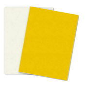 Herlitz risbe 50 x 70 cm, 10 listov, 300 g, temno rumene barve