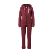 PUMA Odjeca za vježbanje  menta / bordo