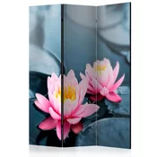 Paravan u 3 dijela - Lotus blossoms [Room Dividers] 135x172