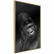 Poster - Intelligent Gaze 40x60