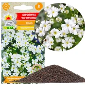 33 Semena gipsofile, beli cvetovi za skalnjake, 1 g R4584
