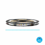 megaMIŠKA LED trak 300 LED 4,8W/m IP65 6500K 5m