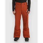 ONeill FwcCruz Cargo moške hlače bonfire