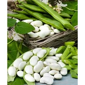 FIŽOL VISOKI TURŠKI BIG PACK 70gr