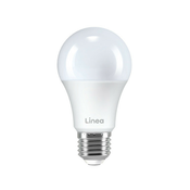 Linea LED sijalica 15W(100W) A60 1521Lm E27 6500K