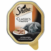 22 x 85 g Mega pakiranje Sheba pladnji za mačke - Classics v pašteti teletina in piščanec