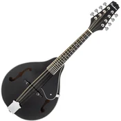Pasadena FSM01BK Black Mandolina
