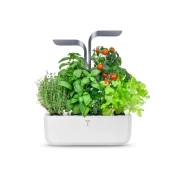 Veritable® CONNECT Infinity Grey Kućni Vrt