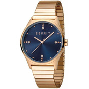 Esprit VinRose Blue Rosegold Polish ES1L032E0085