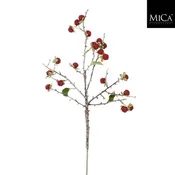 Mömax Okrasna Vejica Rubus