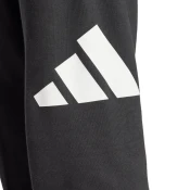 Adidas Muški donji deo trenerke Bl Ft Pt M, Crni