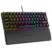 Rampage tipkovnica - PLOWER K60 Black US (žična, mehanska, modro stikalo, angleška, črna, RGB LED)