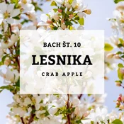 Bachove kapljice 10, Lesnika - Crab Apple, 10 ml