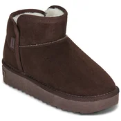 D.Franklin 370 NORDIC Kostanjeva