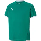 teamLIGA Jersey Jr