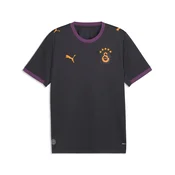 PUMA Galatasaray S.K. 26/27 Away Jersey Men, Sport, Flat Dark Gray/Plum Wine, XXL