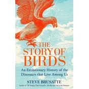 Story of Birds