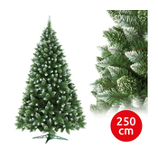 Božicna jelka 250 cm bor