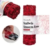 shumee Žajbelj zmajeve krvi | Aromaholik ritualno kadilo - velik šopek