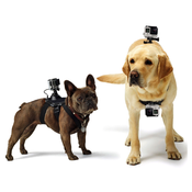 GoPro Fetch (Dog Harness)