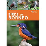 Birds of Borneo