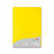 Barvni dopisni karton Clairefontaine, A4, 25 kosov, rumena barva, A4