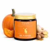 shumee G. Pumpkin - sojina sveča z začimbami in ingverjem - yush - 120 ml