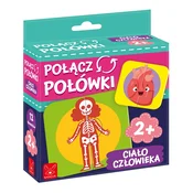 shumee Povežite polovice. Človeško telo