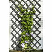 Nature Nature Oporna mreža za rastline 50x150 cm lesena antracit, (21058699)
