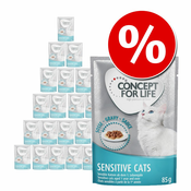 Ekonomično pakiranje: Concept for Life 48 x 85 g - Sensitive Cats u želeu