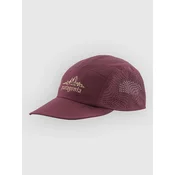 Patagonia Maclure St Cap bry fig