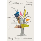 Erosion: Essays of Undoing