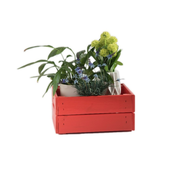 AtmoWood Drvena gajba 31 x 23 x 15 cm - crvena