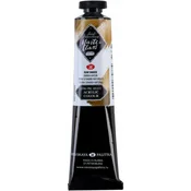 Nevskaya Palitra Akrilna barva Master Class 46 ml Raw Umber