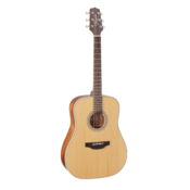 TAKAMINE akustična kitara GD20-NS