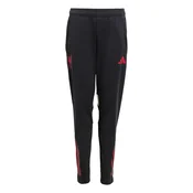 ADIDAS PERFORMANCE Športne hlače FC Liverpool Tiro 25 rdeča/črna