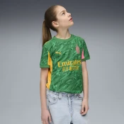 Puma AC Milan 25/26 Goalkeeper Jersey Youth, Green, Size 11-12Y, Clothing